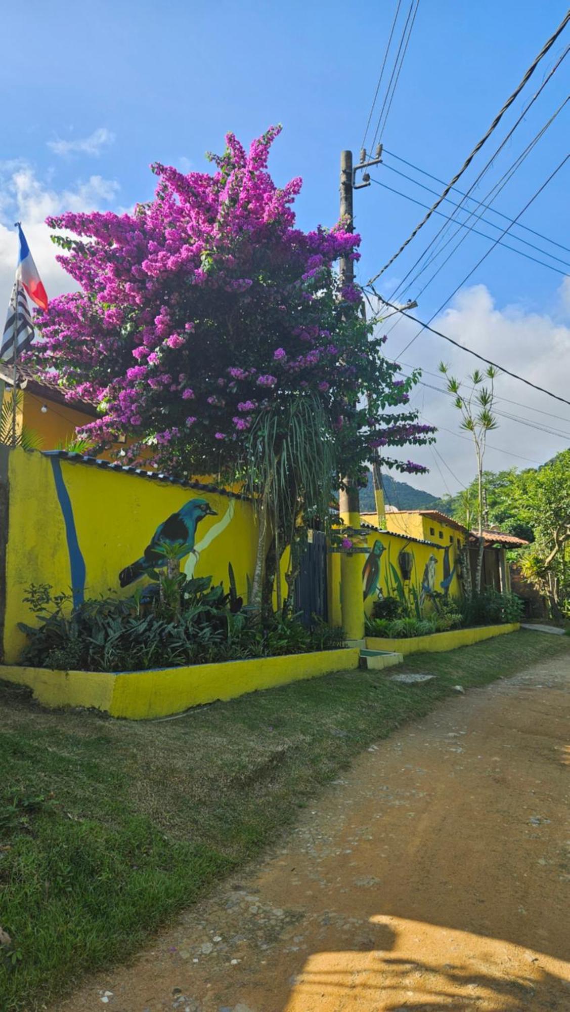 Casa Dos Franceses Ilha Grande Villa Exterior photo